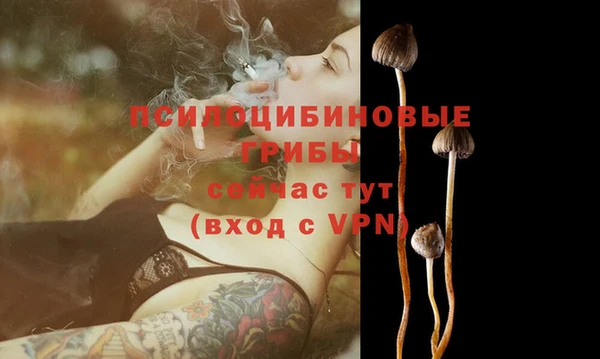 МДПВ Балахна