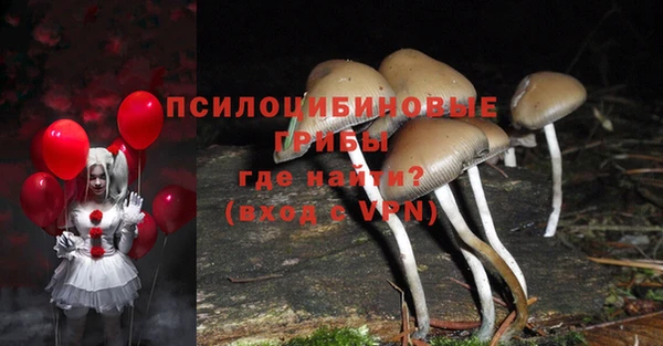 МДПВ Балахна