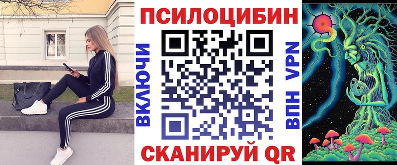 Псилоцибиновые грибы Cubensis  кракен зеркало  Темников 
